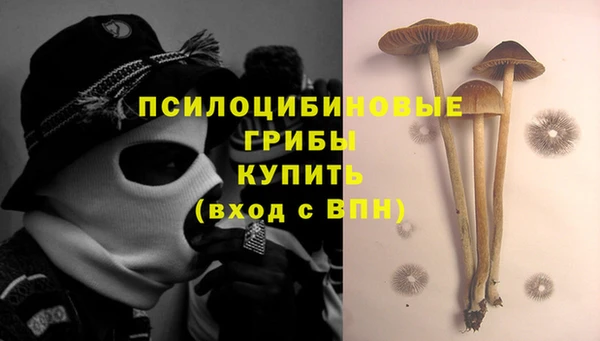 2c-b Балахна